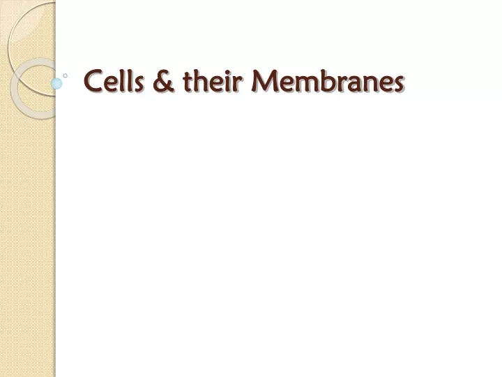 cells their membranes