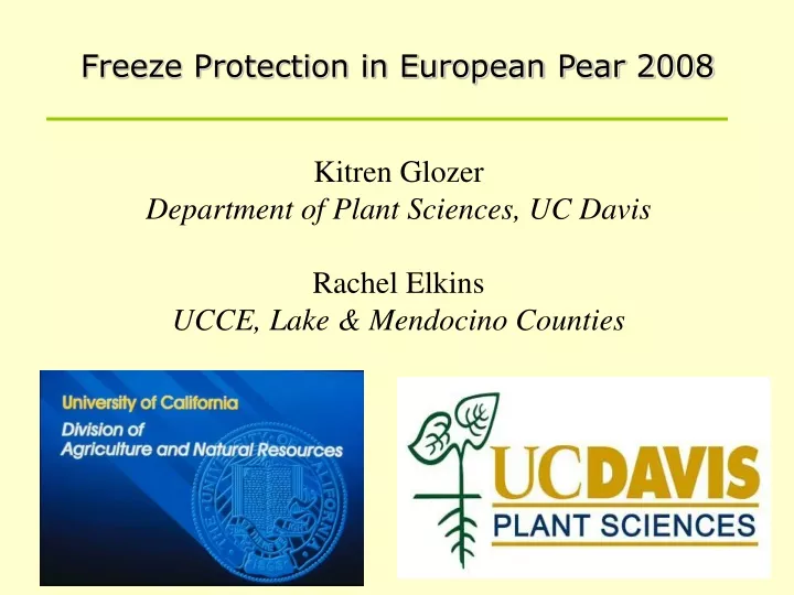 freeze protection in european pear 2008