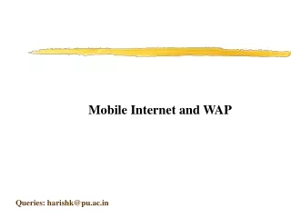 Mobile Internet and WAP