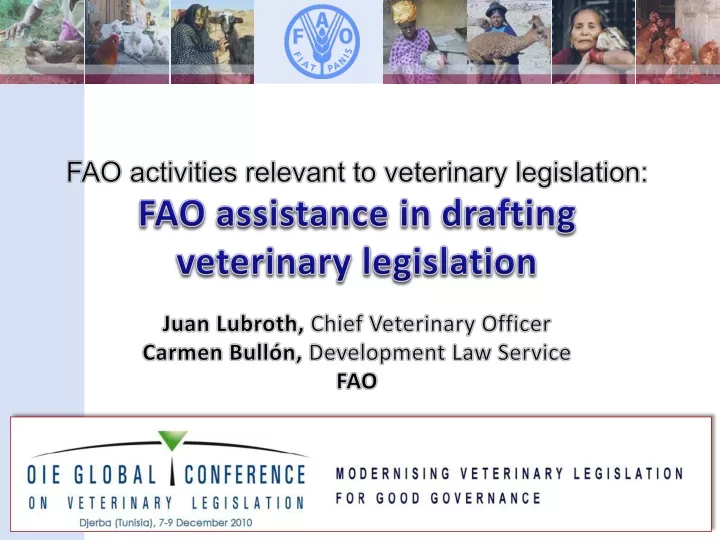 fao activities relevant to veterinary legislation
