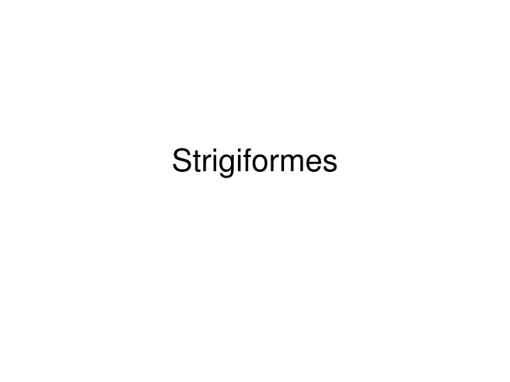 strigiformes