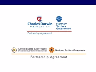 The Partnership Agreements