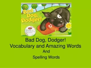 Bad Dog, Dodger! Vocabulary and Amazing Words
