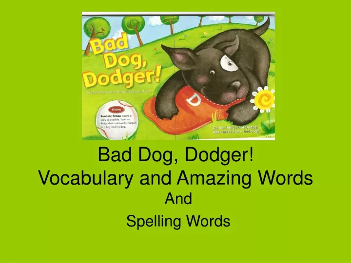 bad dog dodger vocabulary and amazing words