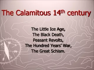 The Calamitous 14 th  century