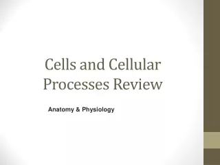 Cells and  Cellular Processes Review