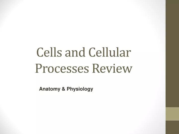 cells and cellular processes review