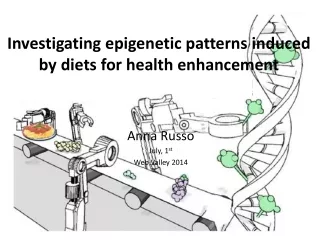 Investigating epigenetic patterns induced by diets for health enhancement