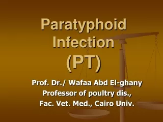Paratyphoid Infection (PT)
