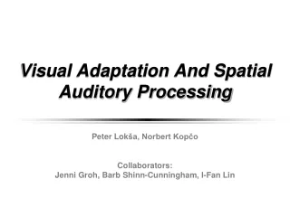 Visual Adaptation And Spatial Auditory Processing