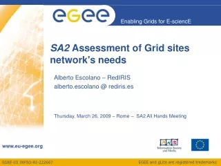 SA2  Assessment of Grid sites network's needs