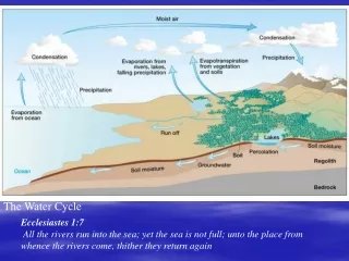 The Water Cycle