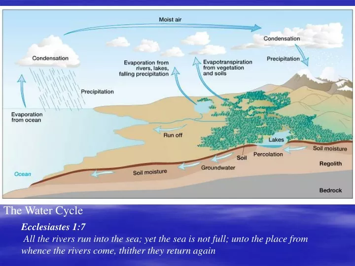 the water cycle