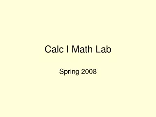 Calc I Math Lab
