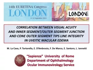 “Sapienza”   University of Rome Department of Ophthalmology  Ocular Immunovirology Service