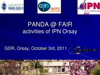 PANDA @ FAIR  activities of IPN Orsay