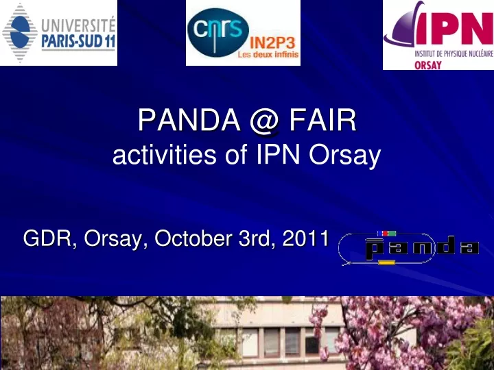 panda @ fair activities of ipn orsay