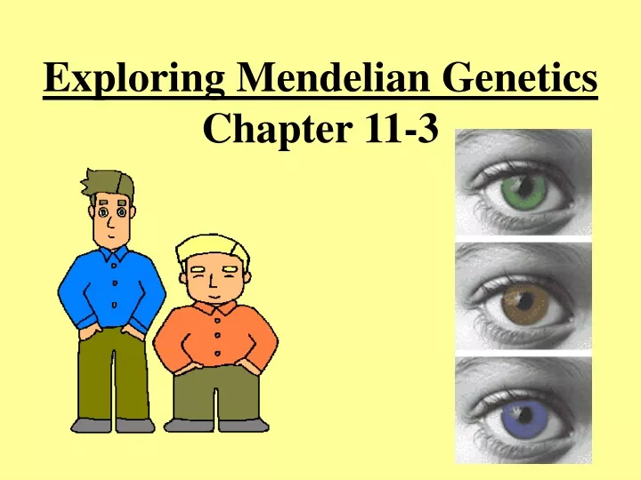exploring mendelian genetics chapter 11 3