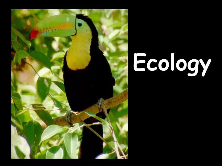 ecology