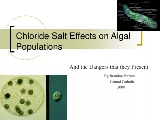 Chloride Salt Effects on Algal Populations