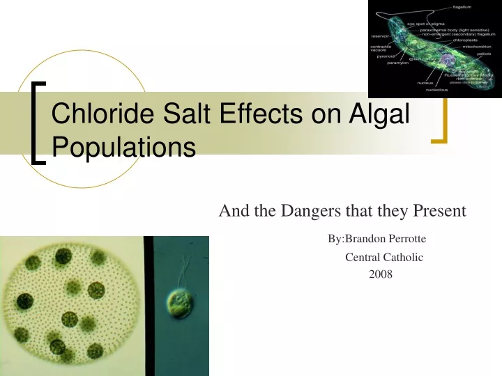 chloride salt effects on algal populations
