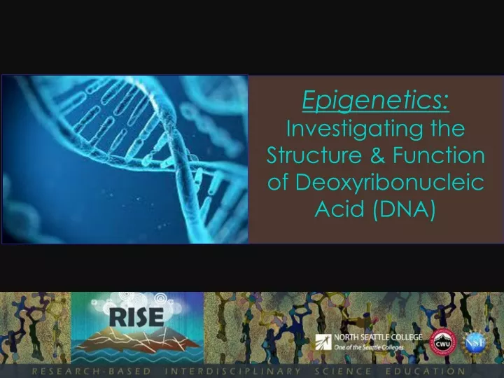 epigenetics investigating the structure function of deoxyribonucleic acid dna