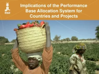 Implications of the Performance  Base Allocation System for  Countries and Projects