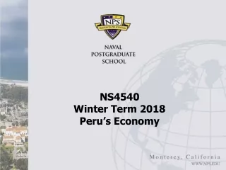 NS4540  Winter Term 2018 Peru’s Economy
