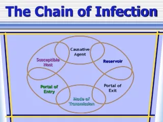 The Chain of Infection