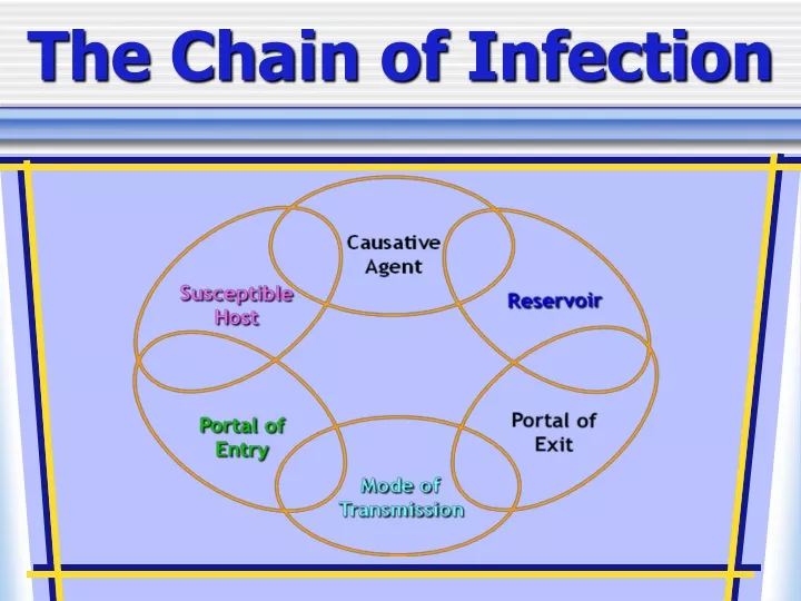 the chain of infection