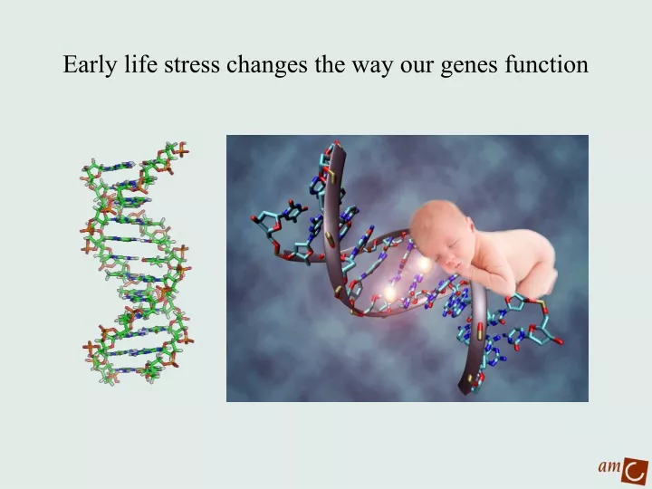 early life stress changes the way our genes function