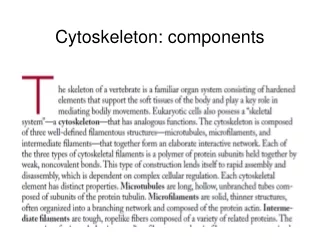 Cytoskeleton: components