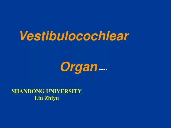 vestibulocochlear organ shandong university