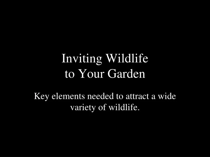 inviting wildlife to your garden