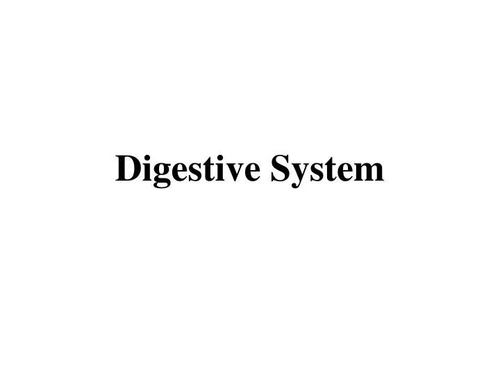 digestive system