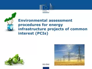 Environmental assessment procedures for energy infrastructure projects of common interest (PCIs)