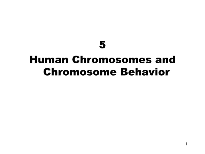 5 human chromosomes and chromosome behavior