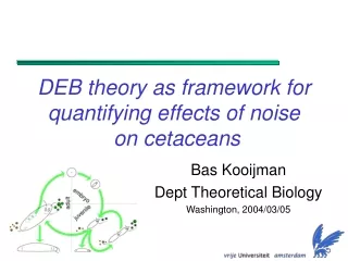 DEB theory as framework for quantifying effects of noise  on cetaceans