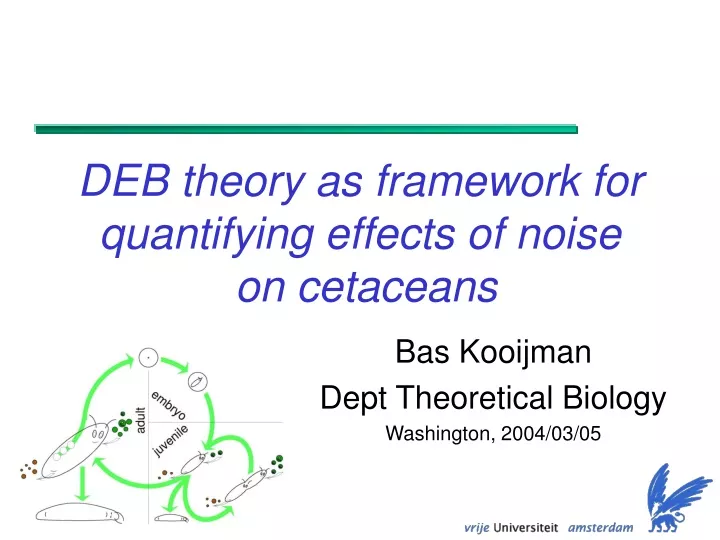 deb theory as framework for quantifying effects of noise on cetaceans