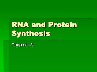 rna and protein synthesis