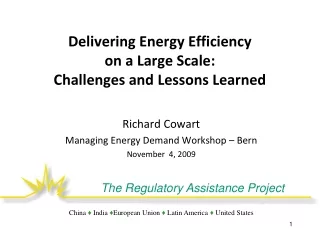 Delivering Energy Efficiency  on a Large Scale:   Challenges and Lessons Learned