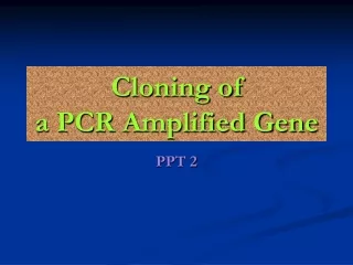 Cloning of a PCR Amplified Gene