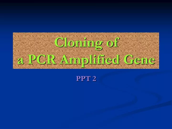 cloning of a pcr amplified gene