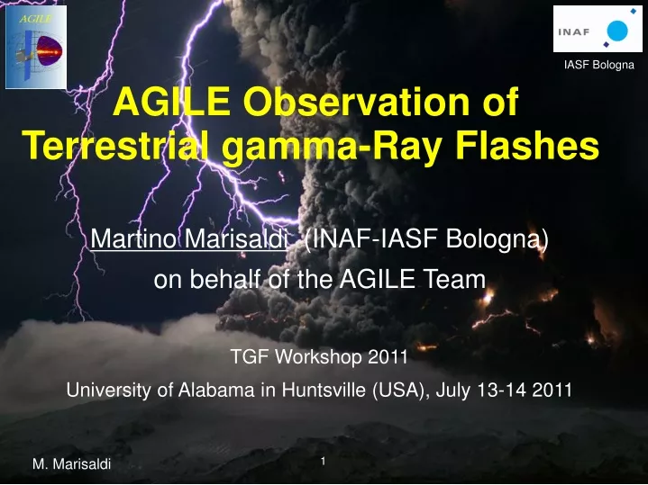 agile observation of terrestrial gamma ray flashes