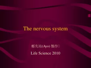 The nervous system