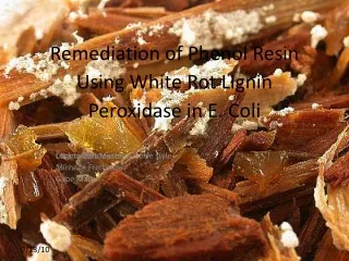 Remediation of Phenol Resin Using White Rot Lignin Peroxidase in E. Coli