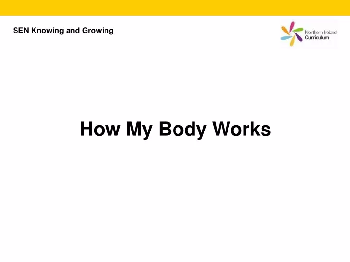 how my body works