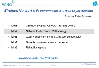 Wireless Networks II:  Performance &amp; Cross-Layer Aspects