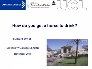 How do you get a horse to drink?