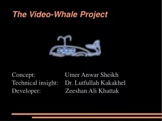 The Video-Whale Project